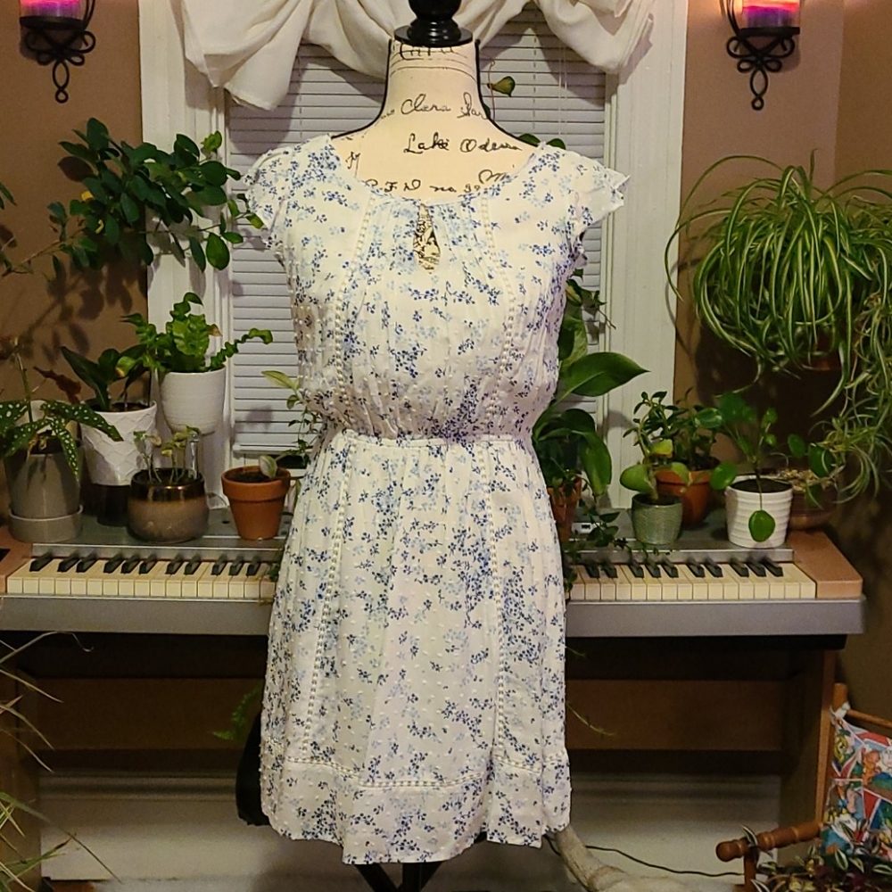 NWT flutter sleeve dress